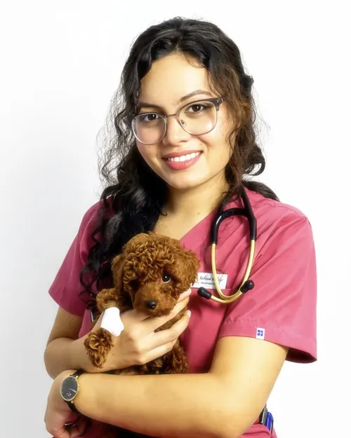 Dr. Reyhana Akhtar